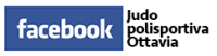 Facebook Judo