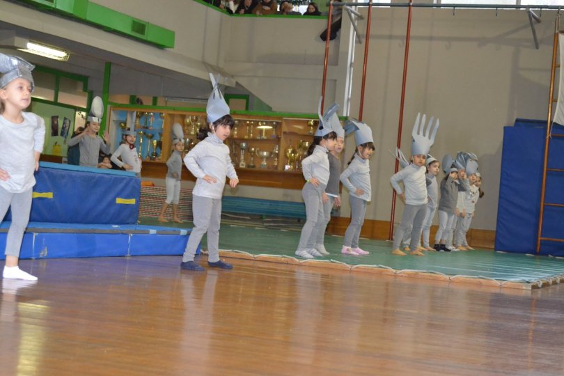 ginnastica artistica femminile polisportiva ottavia